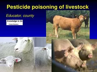 Pesticide poisoning of livestock