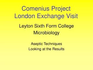 Comenius Project London Exchange Visit