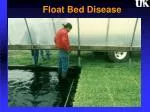 Tomato Diseases and Control Measures - slide 1