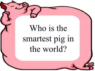 Who is the smartest pig in the world?