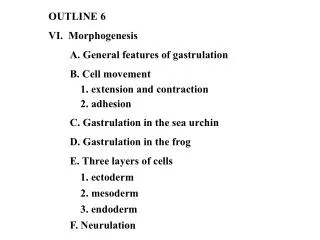 OUTLINE 6 VI. Morphogenesis 	A. General features of gastrulation 	B. Cell movement