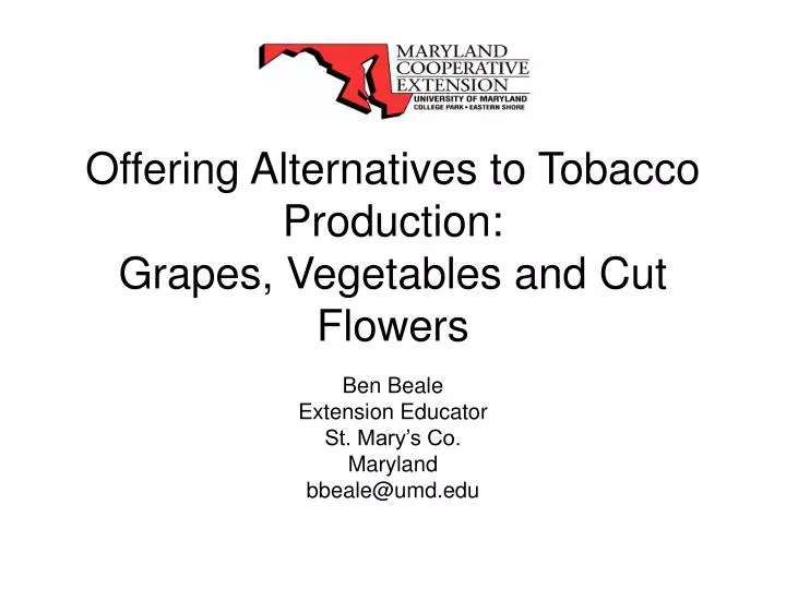 offering alternatives to tobacco production grapes vegetables and cut flowers