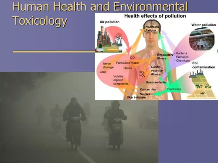 human health and environmental toxicology