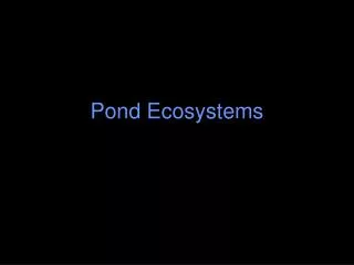 Pond Ecosystems