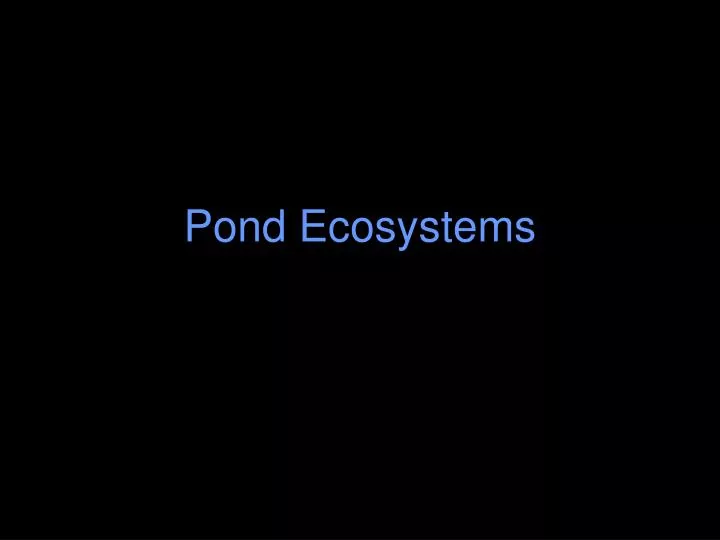pond ecosystems