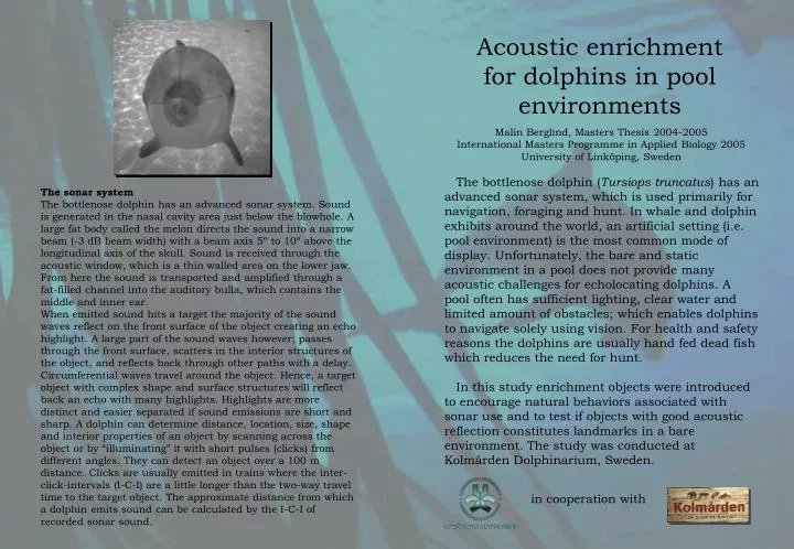acoustic enrichment for dolphins in pool environments