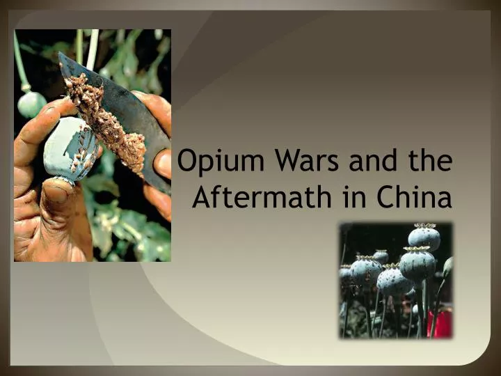 the opium wars and the aftermath in china