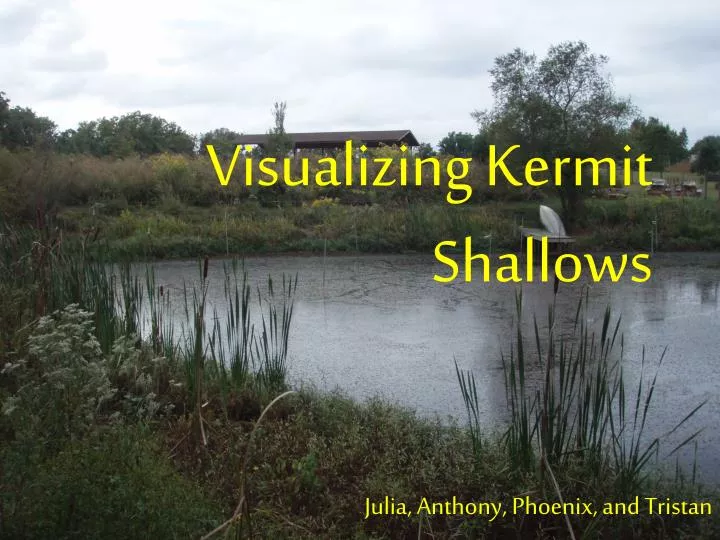 visualizing kermit shallows