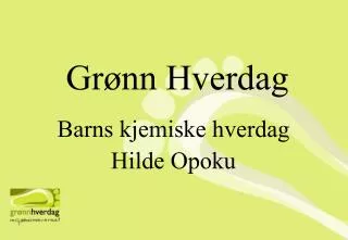 gr nn hverdag