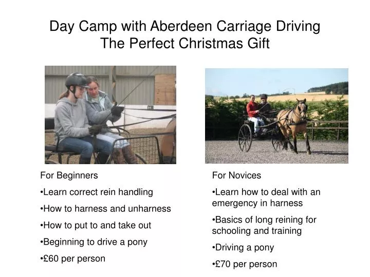 day camp with aberdeen carriage driving the perfect christmas gift