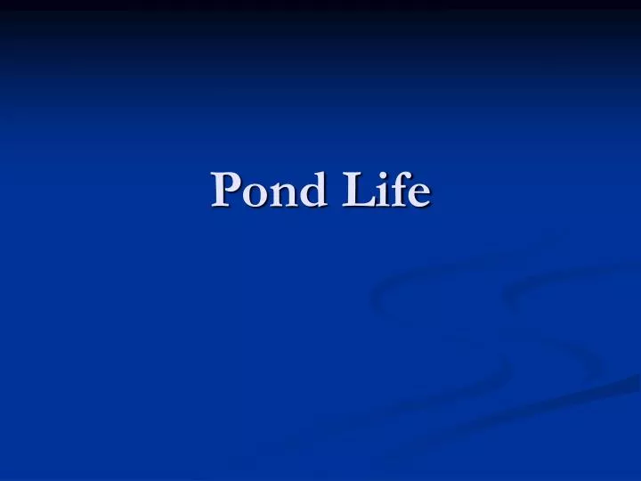 pond life