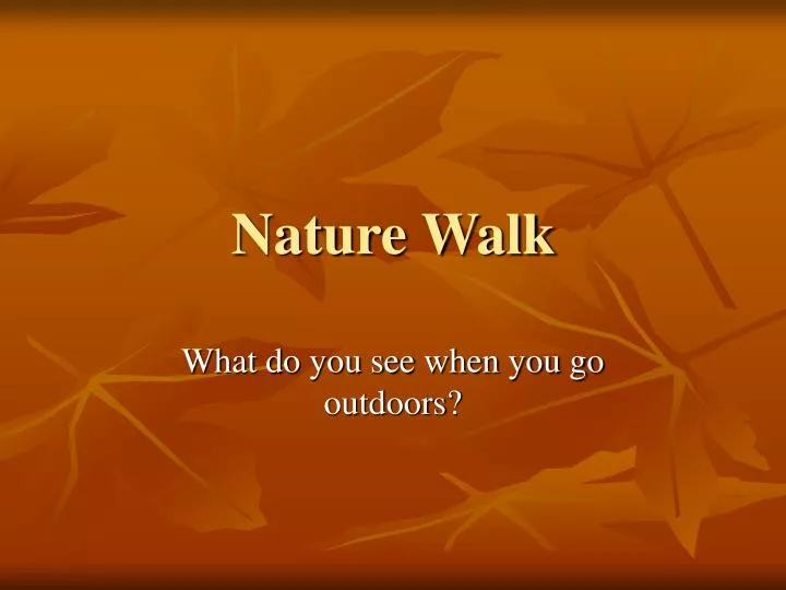nature walk