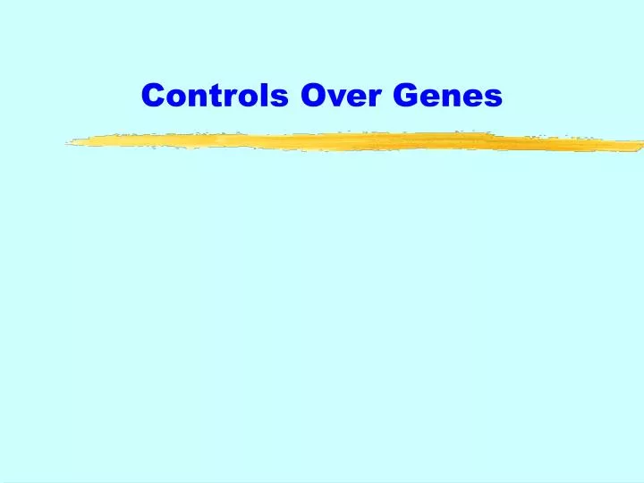 controls over genes