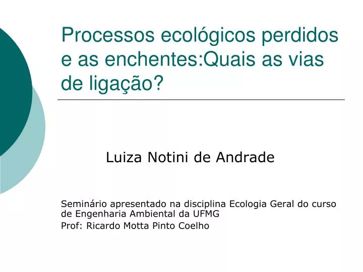 processos ecol gicos perdidos e as enchentes quais as vias de liga o