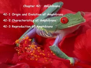 Chapter 42: Amphibians
