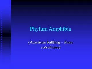 Phylum Amphibia