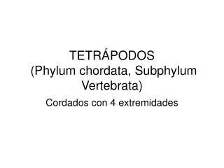 tetr podos phylum chordata subphylum vertebrata
