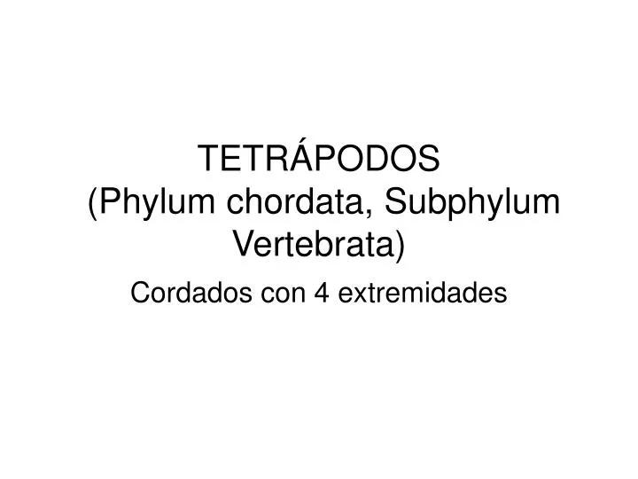 tetr podos phylum chordata subphylum vertebrata
