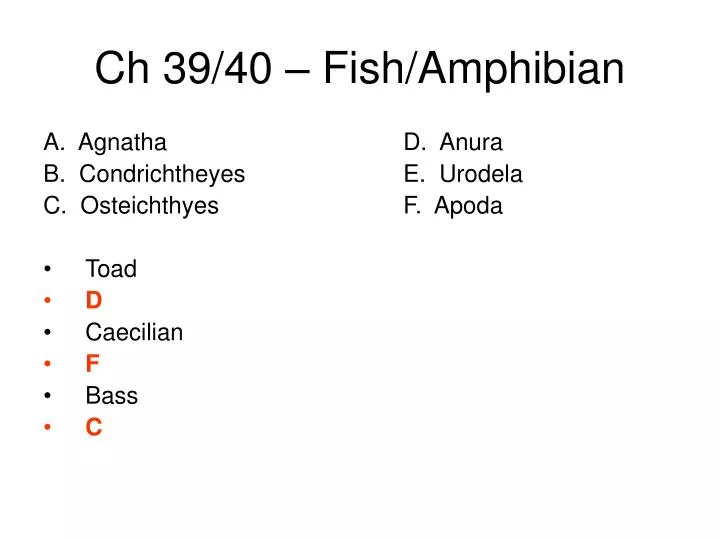 ch 39 40 fish amphibian