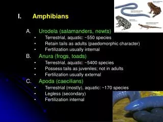 Amphibians Urodela (salamanders, newts) Terrestrial, aquatic: ~550 species