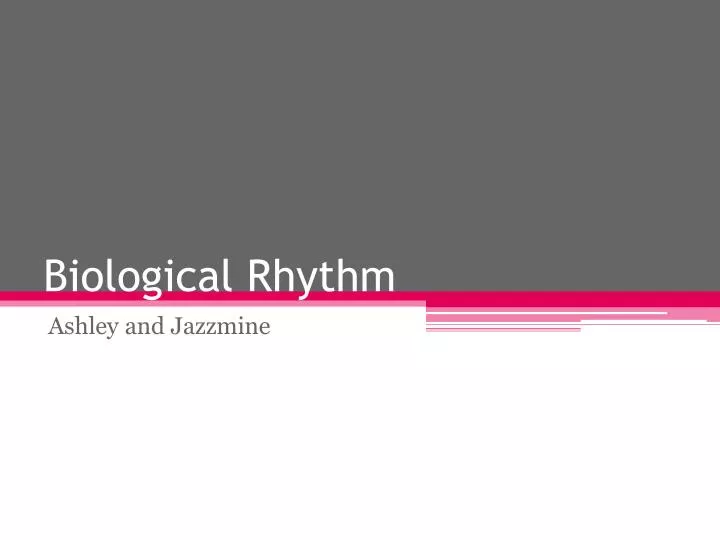 biological rhythm