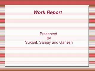 Work Report