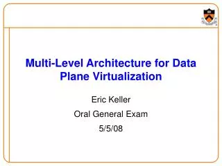 Multi-Level Architecture for Data Plane Virtualization