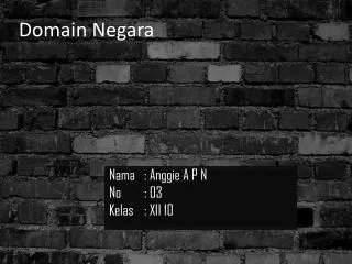 domain negara
