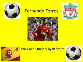 fernando torres
