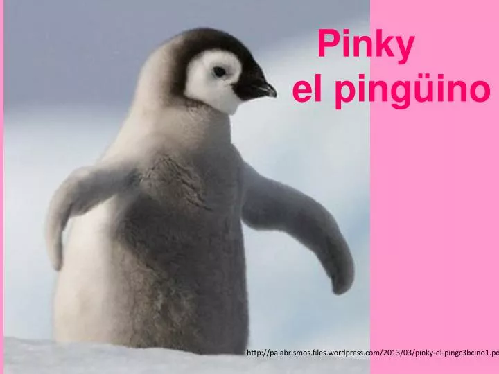 pinky el ping ino