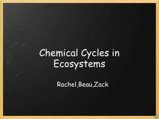 Chemical Cycles in Ecosystems