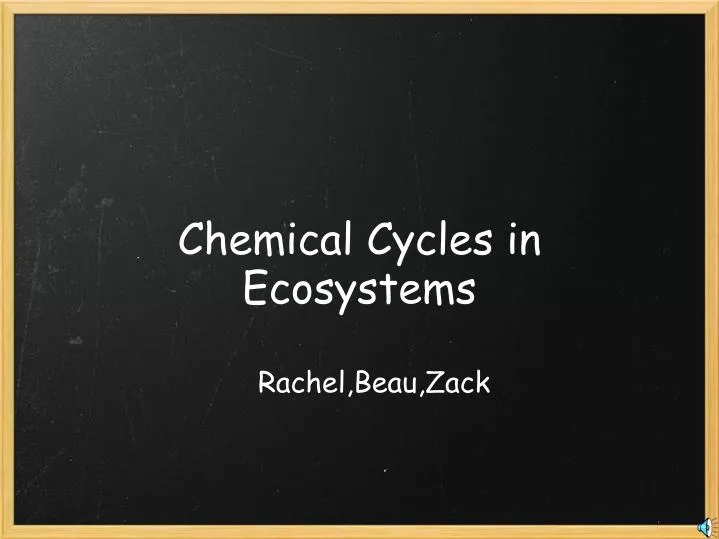 chemical cycles in ecosystems