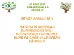 DEVIZA ANULUI 2011 - slide 1