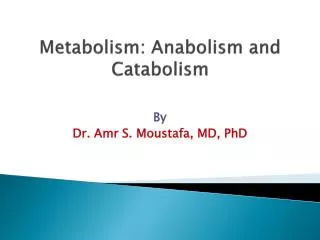 Metabolism: Anabolism and Catabolism