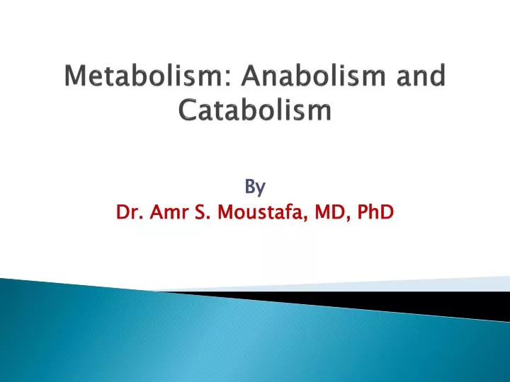 metabolism anabolism and catabolism