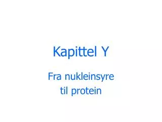 kapittel y