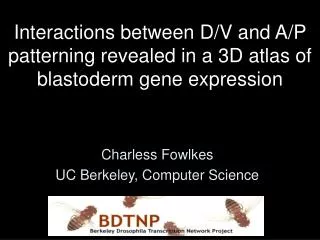 Interactions between D/V and A/P patterning revealed in a 3D atlas of blastoderm gene expression