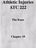 Comprehensive Guide to Knee Athletic Injuries: Anatomy, Treatment, and Rehabilitation - slide 1