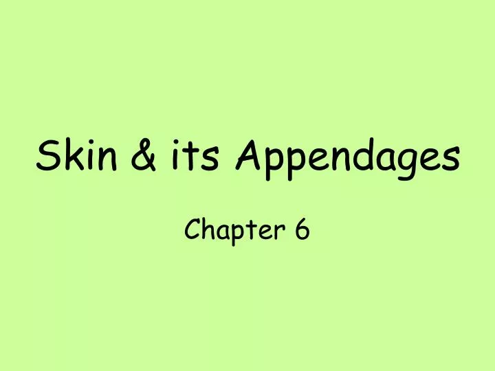 skin its appendages