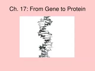 Ch. 17: From Gene to Protein