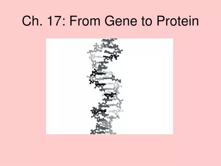 ch 17 from gene to protein