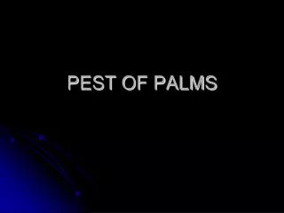 PEST OF PALMS