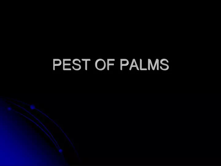 pest of palms