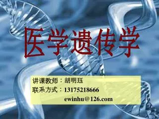 13175218666 ewinhu@126 com