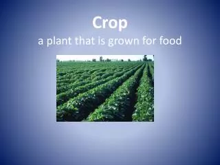 Crop a plant that is grown for food