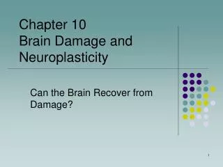 Can the Brain Recover from Damage?