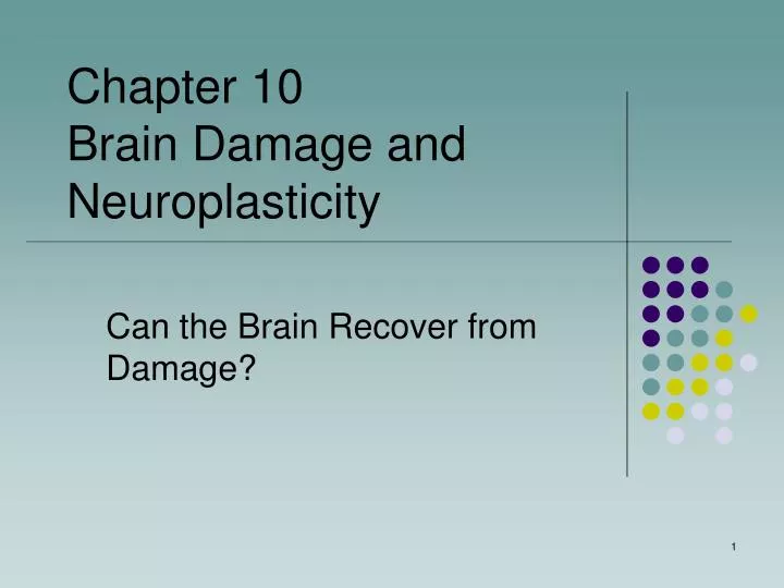 can the brain recover from damage