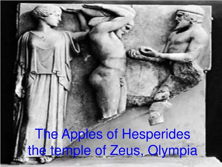 the apples of hesperides the temple of zeus olympia