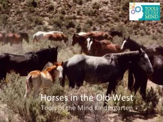 Horses in the Old West Tools of the Mind Kindergarten