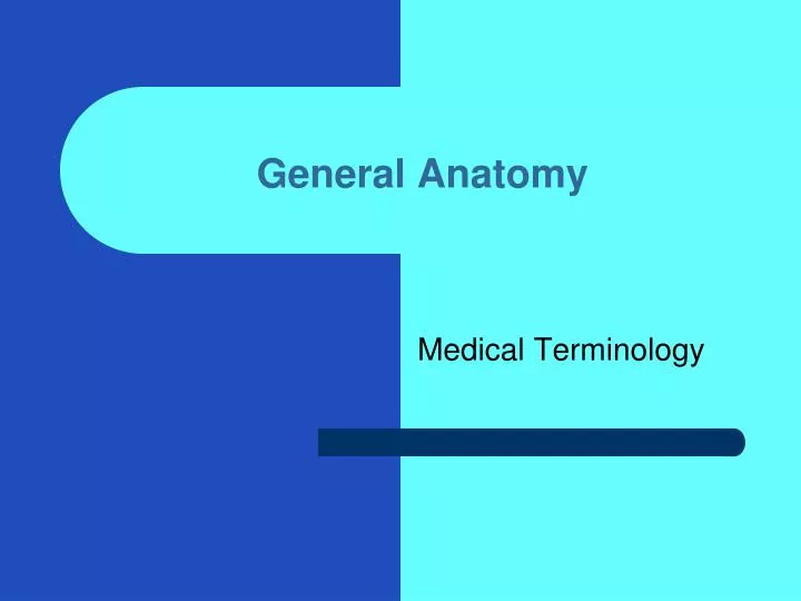 general anatomy